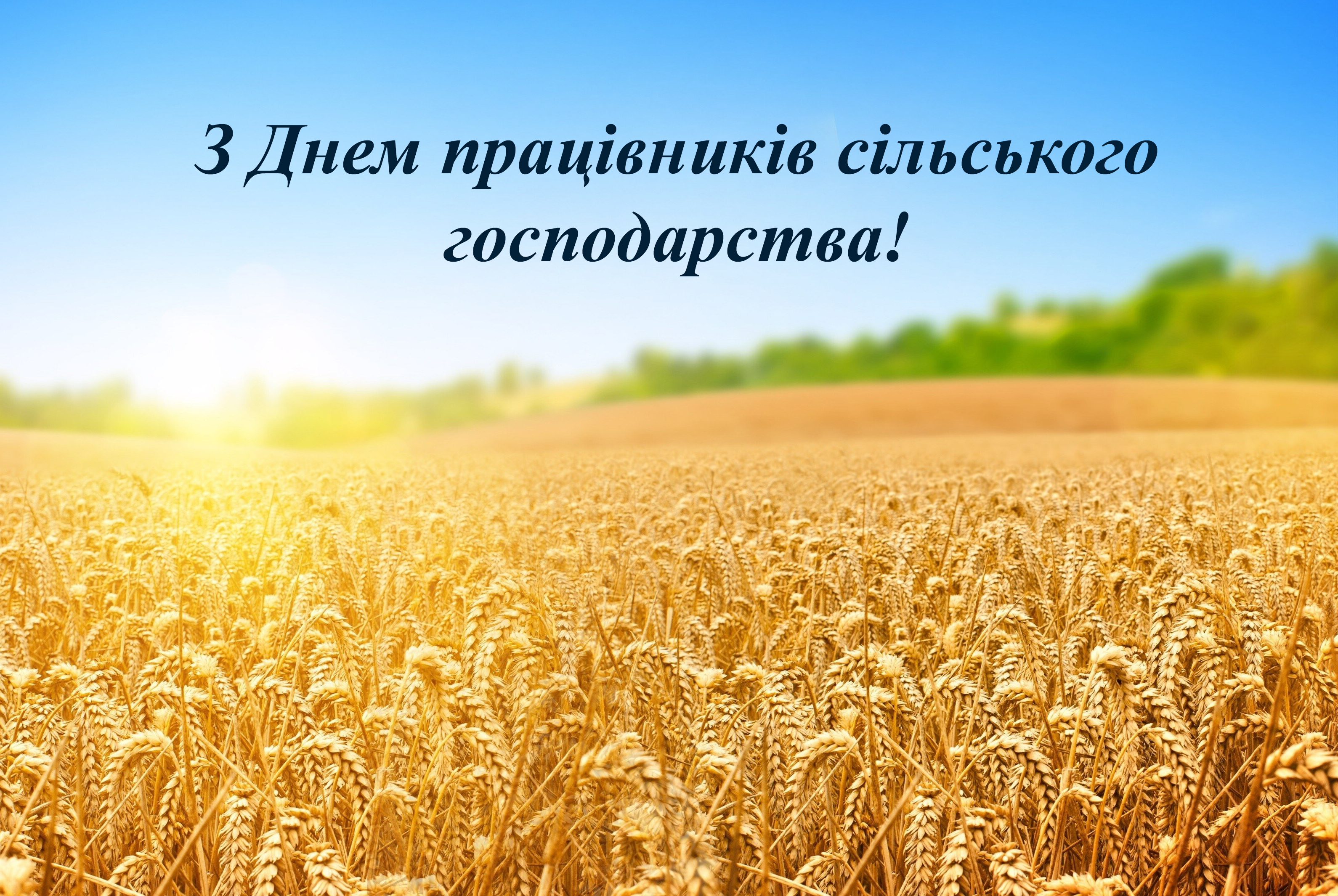 Привітання з Днем працівників сільського господарства